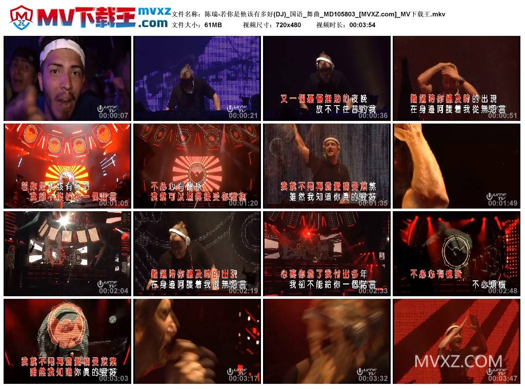 陈瑞-若你是他该有多好(DJ)_国语_舞曲_MD105803